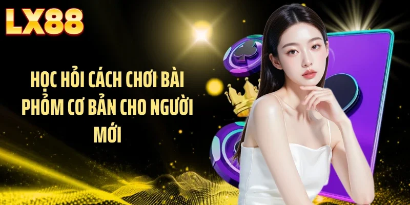 Học hỏi cách chơi bài phỏm cơ bản cho người mới